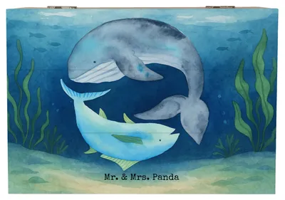 Produktbild von Mr. & Mrs. Panda Box Walfisch Thunfisch Design 22 x 15 cm - Weiß - Geschenk, Wal, Spruch Des Tages, Geschenkbox, fotobox, Witz, Wahl, Tunfisch, Lustige Sprüche, Truhe