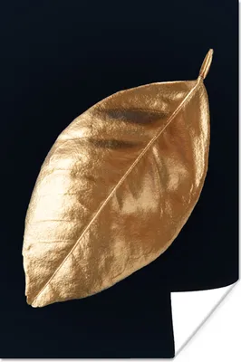 Produktbild von MuchoWow® Poster Blätter - Schwarz und Gold - Luxus - Natur - Pflanzen 120x180 cm - Kunstposter