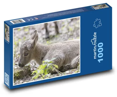 Produktbild von Puzzle 1000 Junges Steinbock in der Natur - martinpuzzle