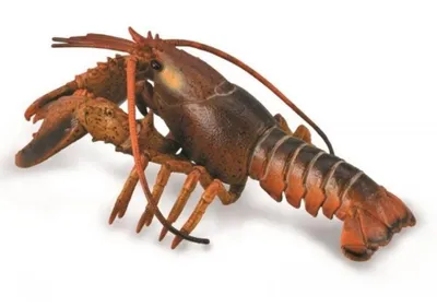 Image de Collecta homar (deluxe) 88920 89207