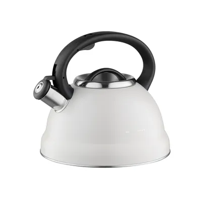 Produktbild von FLORINA Wasserkessel (2,5 l) | Edelstahl Teekessel JACOB | Flötenkessel mit Bake