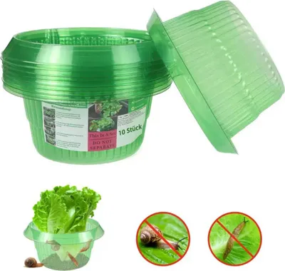 Produktbild von 10 Stück Schneckenschutzringe Grün transparent Kunststoff Schneckenkragen für Salat und Kohl