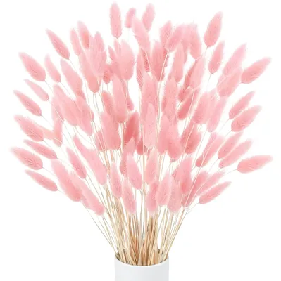 Produktbild von 120 Stück Rosa Getrocknete Kaninchenbaum Blumen Pampasgras