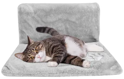 Image de Lit chauffant pour chat avec revêtement en peluche - Hamac pour radiateur