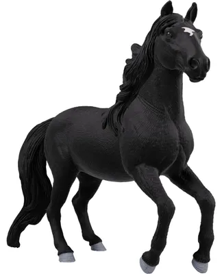 Produktbild von schleich 14918, 5 Jahr(e), Schwarz, Kunststoff