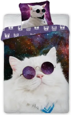 Produktbild von Bettwäscheset 160x200 Baumwolle 3D Space Cat