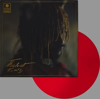 Immagine prodotto di Thundercat - It Is What It Is (LP)