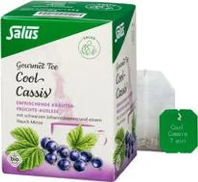 Imagen del producto de Salus Gourmet, té de hierbas y frutas con cassis, orgánico, 15 bolsitas de filtro