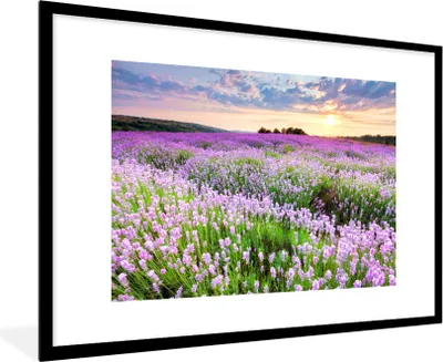 Produktbild von MuchoWow® Gerahmtes Poster Blumen - Lavendel - Lila - Himmel - Sonnenuntergang - Wiese - Natur 90x60 cm - Poster mit Schwarzem Bilderrahmen Wandposter Rahmen Foto Bilder - Wanddekoration - Fotos