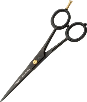 Produktbild von Iwasaki Nara Karbon 6" in Schwarz