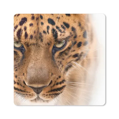 Produktbild von MuchoWow® Mauspad Mousepad Leopard - Porträt - Augen 20x20 cm - Mousepads - Maus Mat - Pad - Mausunterlage - Desk Mat - Bureauartikeln