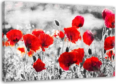 Produktbild von Leinwandbild rote feldmohnblumen 120x80 cm Feeby rot wandbild bereit zum aufhängen