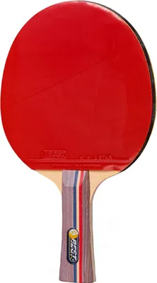 Image de Raquette de tennis de table Best Sporting : idéale pour l'entraînement des débutants et des joueurs amateurs