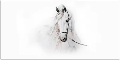 Produktbild von MuchoWow® Poster Pferd - Aquarell - Tiere - Weiß 80x40 cm - Wanddeko