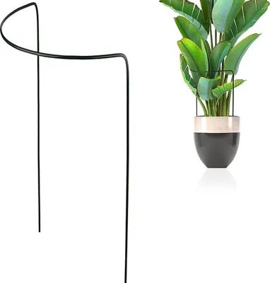 A black metal plant support stand is shown on the left, and a potted plant in a dark grey and beige pot is shown on the right.