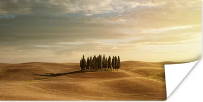 Produktbild von MuchoWow® Poster Toskana - Bäume - Italien 120x60 cm - Bild
