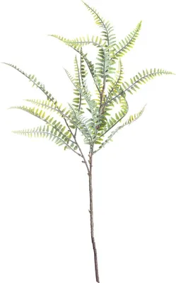 Produktbild von Deko-Farnzweig 60cm