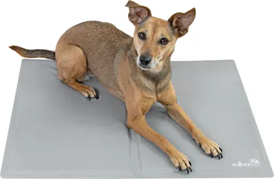 Produktbild von Kühlmatte für Hunde und Katzen, 50x60 cm, grau
