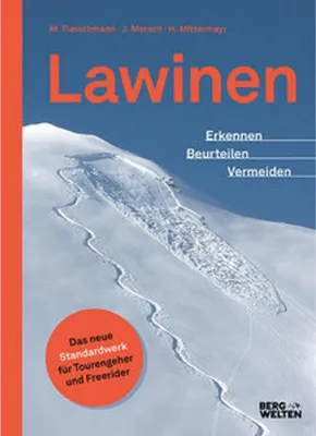 Image de Lawinen