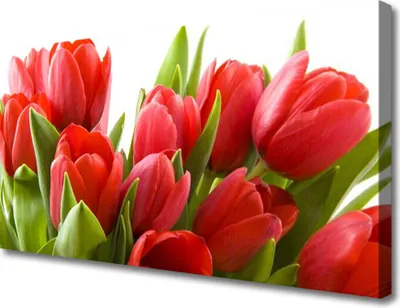 Produktbild von Tulup Leinwand-Bilder 100x50 Wandbild Canvas Kunstdruck Tulpen Pflanzen