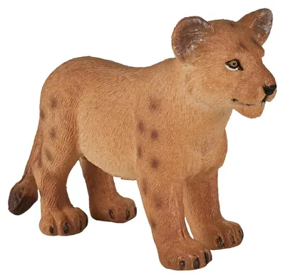 Image de Animal Planet Lionceau debout