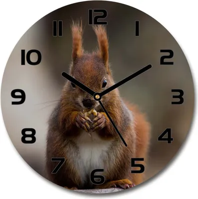 Produktbild von Wanduhr aus Glas 30fi Glasbild Glasuhr Gehärtetes Glas - schwarze-zeiger - squirrel