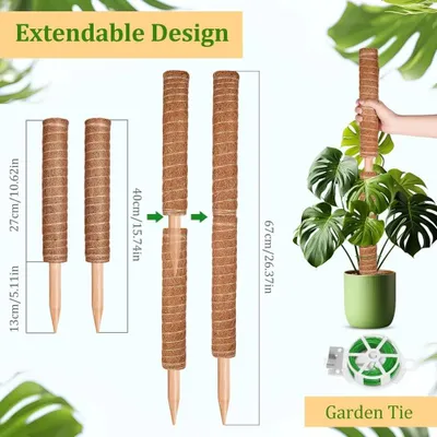 Image de Supports pour plantes - Tuteurs pour plantes en pot - Pour plantes grimpantes - Pour intérieur - Lot de 2