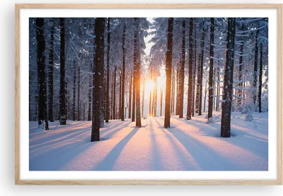 Produktbild von Gerahmtes Poster - Rahmen in heller Eiche - Wald Winter Schnee - 91,5x61 cm - Wand Bild - Wanddeko - Wandbilder - Wandposter - Bilderrahmen - Bilder - Kunstdruck - Wandbild - P2NAA91x61-3629