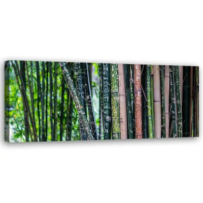 Produktbild von Leinwandbild Bambusstämme 120x40 Feeby Grün bild für die wand bereit zum aufhängen