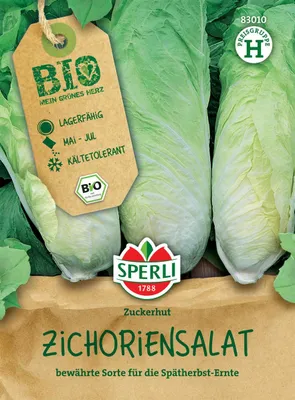 Produktbild von SPERLI Zichoriensalatsamen Zuckerhut Cichorium intybus 60 Pflanzen