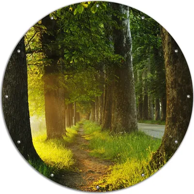Produktbild von Wallario rundes Outdoor-Poster für Garten oder Balkon, Motiv Allee bei Sonnenuntergang, 120 cm Durchmesser