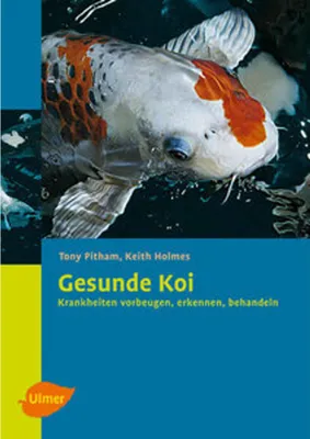 Produktbild von Gesunde Koi