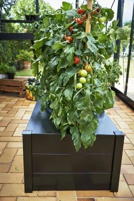 Produktbild von Juliana Pflanzkasten 95 x 55 x 37 cm schwarz ohne Boden