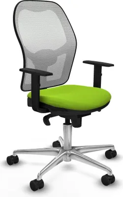 Image de Bürostuhl Piqueras y Crespo 1D086N0 Pistazienfarben