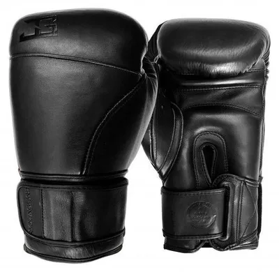 Produktbild von Joyagear Eagle Boxhandschuhe - Leder - Schwarz - 12 oz.