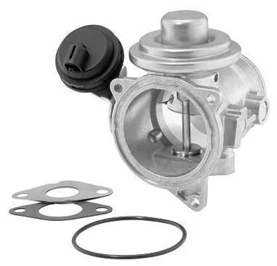 Obrázek produktu pro AGR ventil BORG WARNER 7187D