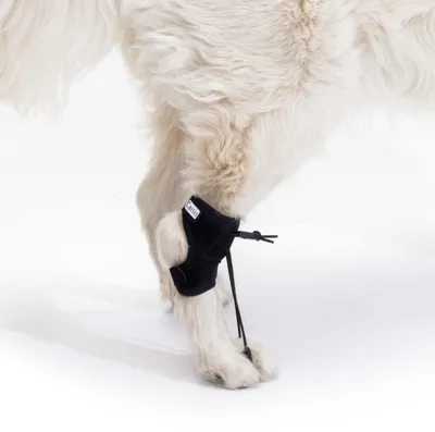 Propriozeptiver Korrektor für Hunde, Größe L 14–20 cm
