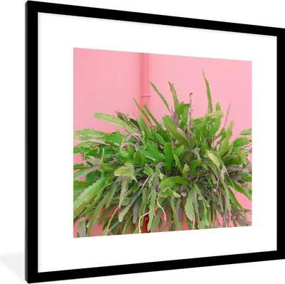 Produktbild von MuchoWow® Gerahmtes Poster Pflanze - Sommer - Rosa 40x40 cm - Poster mit Schwarzem Bilderrahmen Wandposter Rahmen Foto Bilder - Poster - Plakat im Rahmen