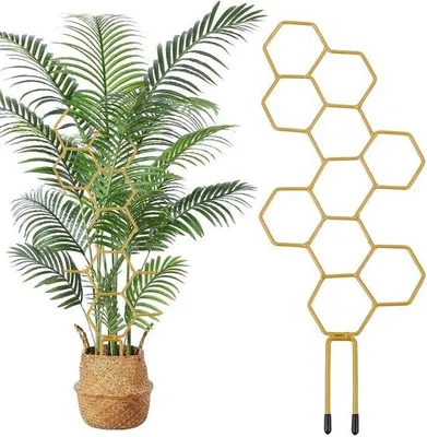 Produktbild von 10 Stück Pflanzengitter für Zimmerpflanzen 35 cm - Blumenstütze Gitternetzwerk für Gartenpflanzen - Kunststoff Pflanzengitter