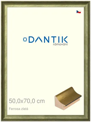 Zdjęcie produktu dla Ramka DANTIK 50x70 | Ferrosa złota (Plexi przezroczysta)