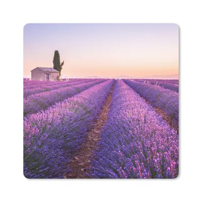 Produktbild von MuchoWow® Mauspad Mousepad Lavendel - Sonnenuntergang - Lila - Blumen 20x20 cm - Mousepads - Maus Mat - Pad - Mausunterlage - Desk Mat - Bureauartikeln