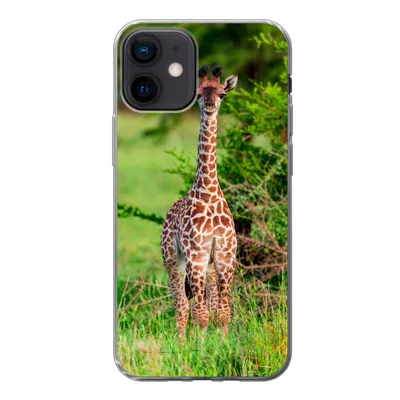 Produktbild von MuchoWow® Handyhülle Schutzhülle Hülle für iPhone 12 Baby - Giraffe - Pflanzen Silikon Softcase Handy Hülle - Schutzhülle