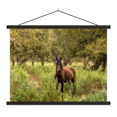 Produktbild von MuchoWow® Textilposter Pferd - Wald - Gras 40x30 cm mit schwarzem Rahmen - Dekorationen