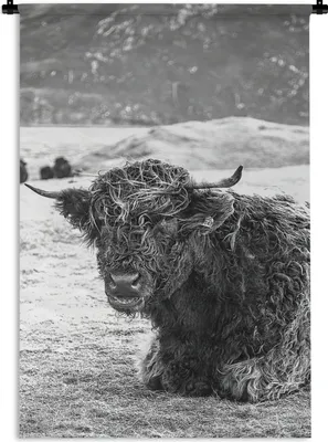 Produktbild von MuchoWow® Wandteppich Wandbehang Schottischer Highlander - Berg - Tiere 60x90 cm Tapisserie Dekoration Wandtuch - Foto-Teppich - Abwaschbar