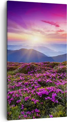 Produktbild von Bild auf Leinwand - Leinwandbild - Wiese Berg Himmel Landschaft - 45x80cm - Wand Bild - Wanddeko - Leinwanddruck - Bilder - Kunstdruck - Wanddekoration - Leinwand bilder - Wandkunst - PA45x80-2719