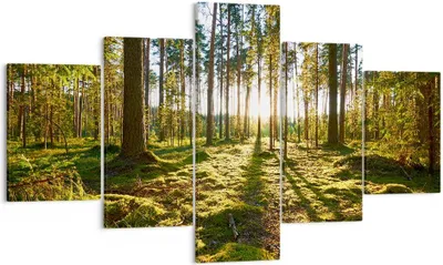 Produktbild von Bild auf Leinwand - Leinwandbild - Wald Baum Natur - 125x70cm - Wand Bild - Wanddeko - Wandbilder - Leinwanddruck - Bilder - Kunstdruck - Wanddekoration - Leinwand bilder - Wandkunst - EA125x70-3724