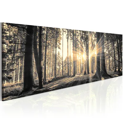 Produktbild von Modernes Wandbild c-B-0077-b-c (135x45) - 1 Teilig Bilder Fotografie auf Leinwand Foto Bild Dekoration Wand Bilder Kunstdruck WALD NATUR BÄUME SONNENSCHEIN
