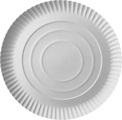 Immagine prodotto di Conpax - Piatto puro, rotondo, bianco, diametro 26 cm, in cartone, confezione da 100 pezzi