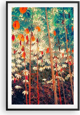 Produktbild von Gerahmtes Poster - Schwarzer Rahmen - Pflanzen tropisch orange - 61x91,5 cm - Wand Bild - Wanddeko - Wandbilder - Kunstposter - Wandposter - Bilderrahmen - Bilder - Kunstdruck - P2BPA61x91-4393