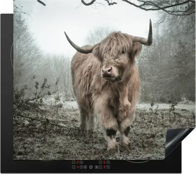 Produktbild von KitchenYeah© Herdabdeckplatte Schottischer Highlander - Wald - Nebel - Kuh - Tiere - Natur , 59x51cm, Küche Deko, Glaskeramikkochfeld Herdabdeckung, Abdeckplatte fùr Kochfeld